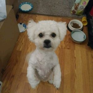 Meet your Posher, Abel